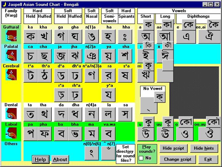 A screen shot of a computer

AI-generated content may be incorrect.